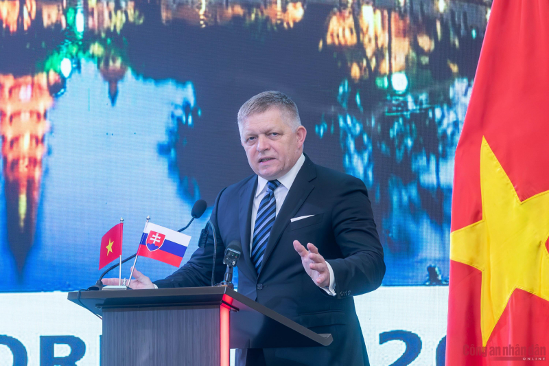 19360179918668841484.jpg -0