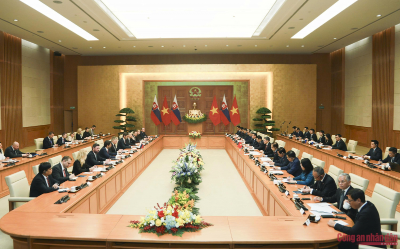 Việt Nam – Slovakia thúc đẩy hợp tác toàn diện, thực chất -1