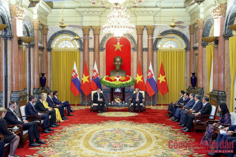 Tổng Bí thư, Chủ tịch nước Tô Lâm tiếp Thủ tướng Cộng hòa Slovakia Robert Fico -0