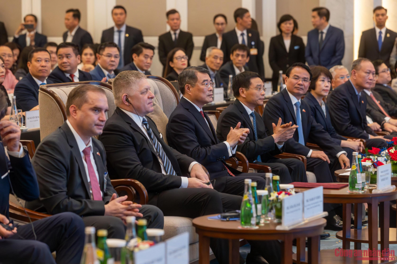 41284946336402675911.jpg -0