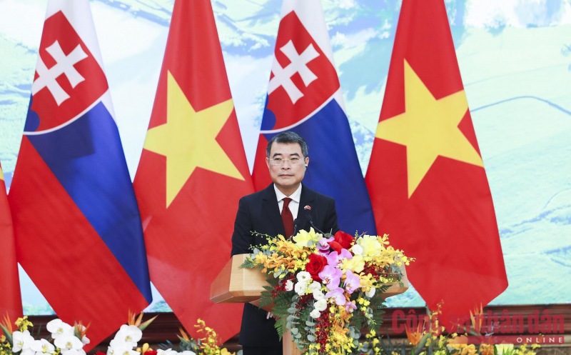 Nâng cấp quan hệ Việt Nam-Slovakia lên Đối tác Chiến lược -0