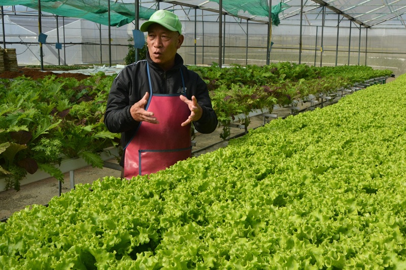 Nông dân Đà Lạt “làm du lịch xanh” -0