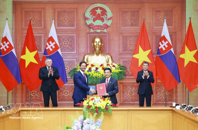 Vietnamese, Slovak PMs witness exchange of documents, chair joint press briefing -0