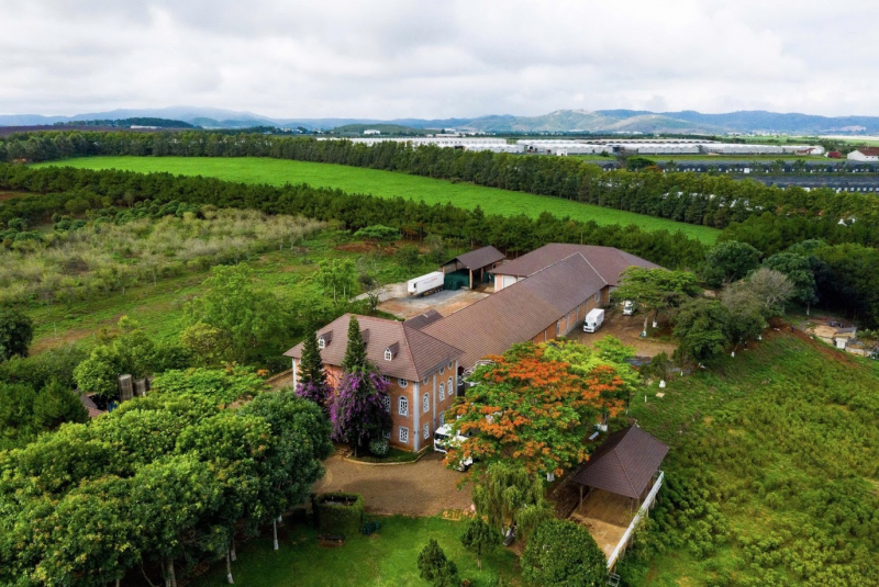 Dalatmilk ra mắt “Sữa Tươi Thanh Trùng Hương Chuối” - kết hợp hoàn toàn từ sữa tươi cao nguyên và hương chuối tự nhiên -0