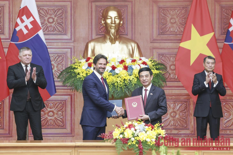 Nâng cấp quan hệ Việt Nam-Slovakia lên Đối tác Chiến lược -0