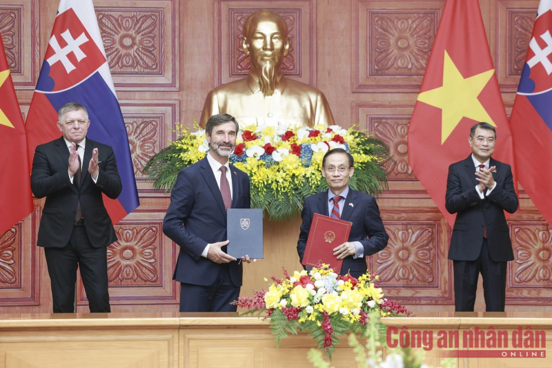 Nâng cấp quan hệ Việt Nam-Slovakia lên Đối tác Chiến lược -0