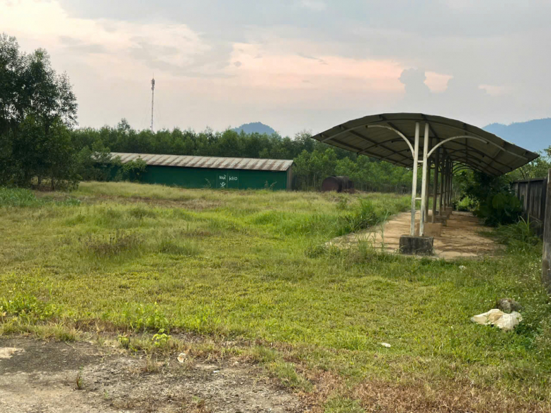 Dự án Nhà máy xi măng “treo” hơn 15 năm, người dân miền núi bức xúc -1