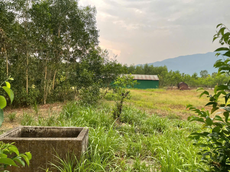 Dự án Nhà máy xi măng “treo” hơn 15 năm, người dân miền núi bức xúc -0