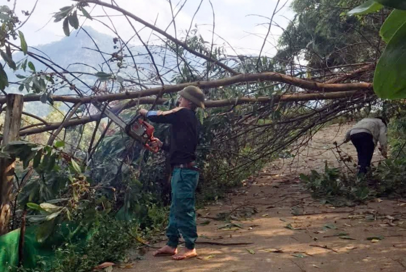 Mưa lớn kèm lốc xoáy gây tốc mái nhà, cây ngã đổ ở vùng biên giới Đà Nẵng -0