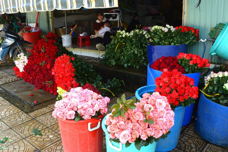 Hành trình lập nghiệp của những người con xa xứ -0