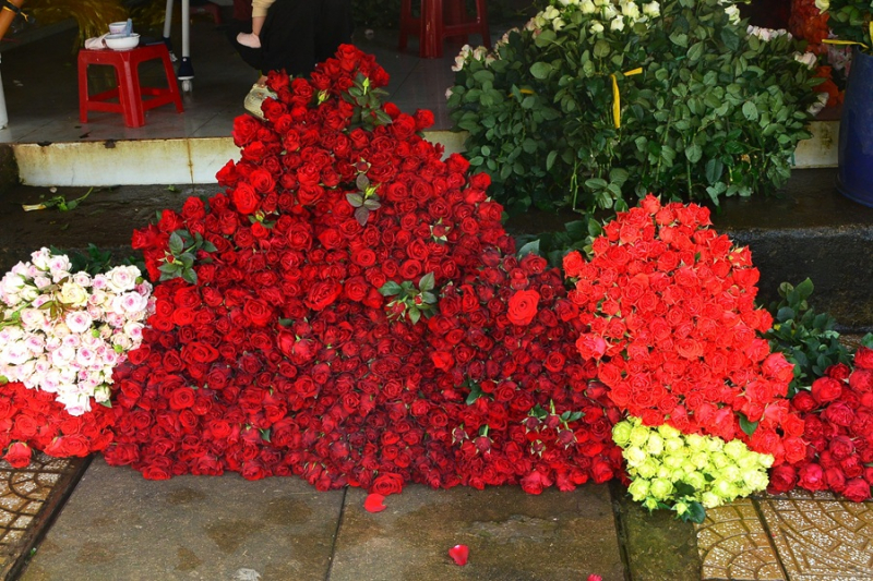 Hành trình lập nghiệp của những người con xa xứ -0