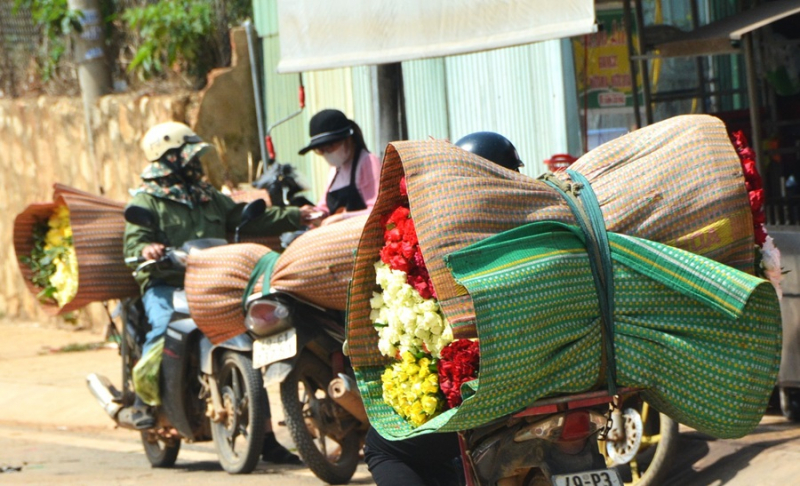 Hành trình lập nghiệp của những người con xa xứ -0