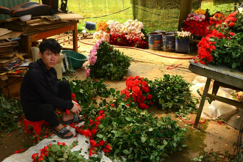 Hành trình lập nghiệp của những người con xa xứ -0