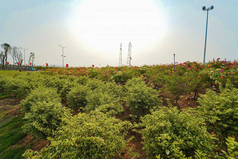 Từ bến sông xưa vọng lại đến công viên tưởng niệm phà Gianh -0