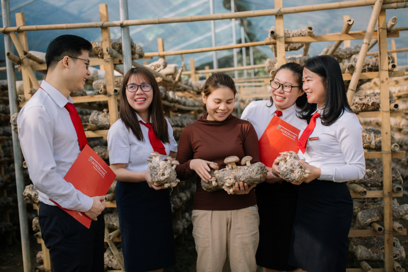 Agribank đồng hành cùng hộ kinh doanh: Kê khai thuế dễ dàng – Chuyển đổi doanh nghiệp vững vàng -0