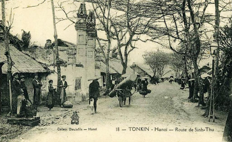 Lan man về nghề viết -0