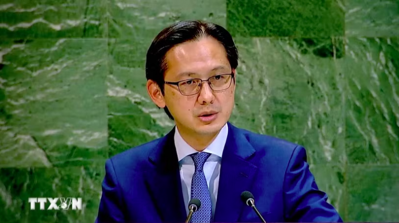 Việt Nam nộp lưu chiểu Văn kiện phê chuẩn Công ước Hà Nội tại Liên hợp quốc -0