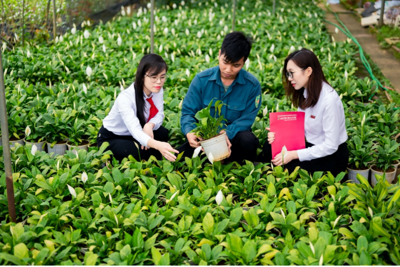 Agribank - Dòng vốn bền bỉ, điểm tựa vững chắc cho người dân và doanh nghiệp -0