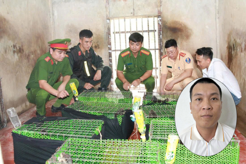 Triệt xóa đường dây mua bán, vận chuyển động vật nguy cấp, quý hiếm  -0