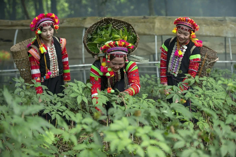 cec8d615457dc4239d6c.jpg -0