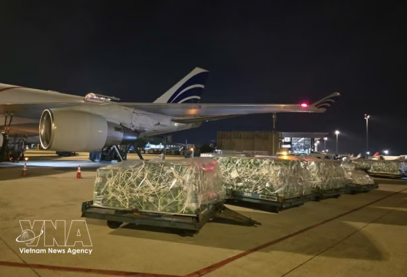 Nearly 100 tonnes of Vietnamese fruits, vegetables airlifted to UAE -0