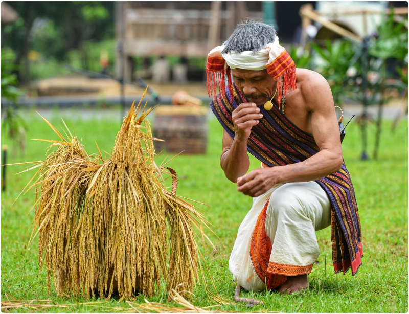 Trải nghiệm nghi lễ văn hoá truyền thống độc đáo của đồng bào Chu Ru, Tây Nguyên -0
