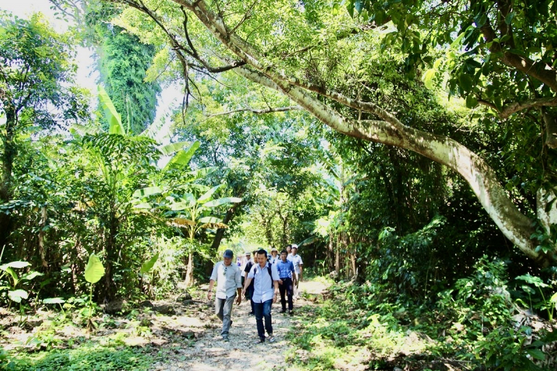 Cồn Cỏ – mùa gió mới từ một hòn đảo tiền tiêu -0