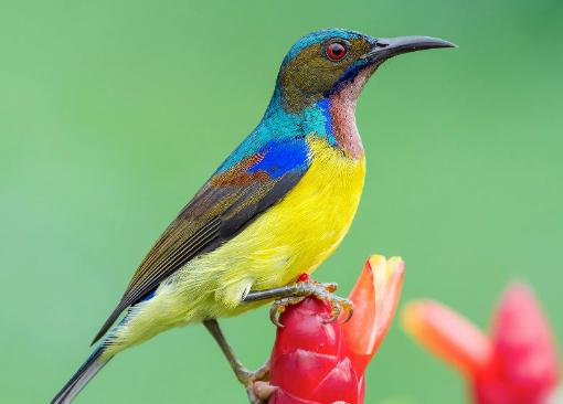 Hội tụ đam mê bên triền đồi Tức Dụp -0