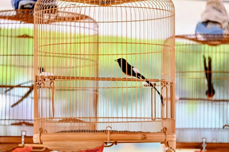 Hội tụ đam mê bên triền đồi Tức Dụp -2