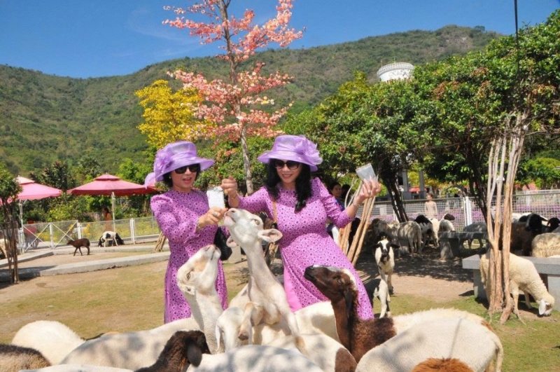 Sống ảo cực chất tại vương quốc ánh sáng An Hảo -0