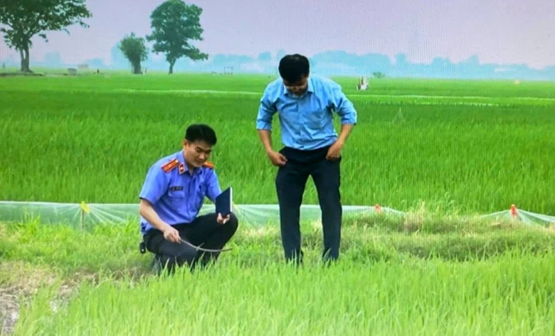 “Bẫy chuột”… bẫy cả mạng người -0