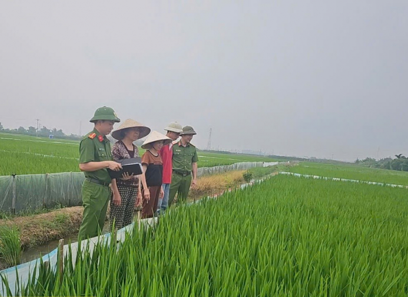 “Bẫy chuột”… bẫy cả mạng người -0