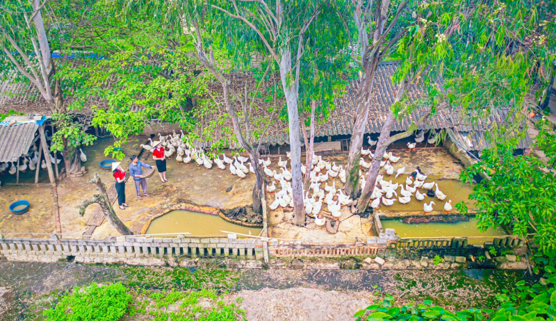 Top 10 Ngân hàng ESG Việt Nam 2026: Dấu ấn Agribank -1