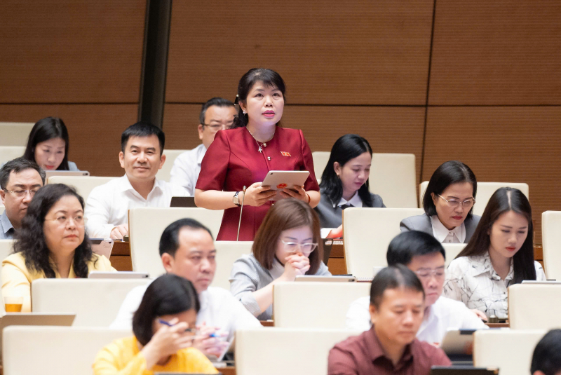 Phát triển, ươm mầm tài năng lĩnh vực văn hóa, nghệ thuật ngay từ cơ sở -0