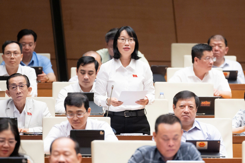 Phát triển, ươm mầm tài năng lĩnh vực văn hóa, nghệ thuật ngay từ cơ sở -2