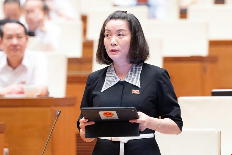 Quy hoạch đô thị Đồng Nai theo hướng xanh, bền vững, mang tính liên kết vùng -1