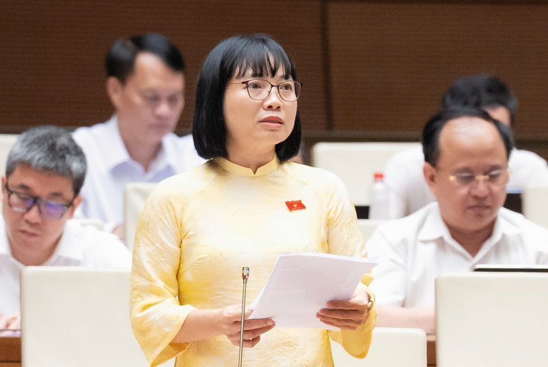 Thiết kế rõ hơn cơ chế đãi ngộ đối với luật sư công gắn với hiệu quả công việc -3