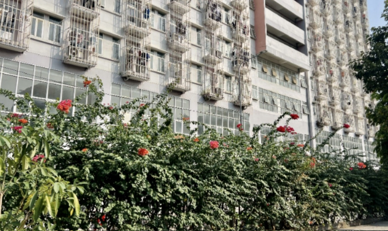 Điều tra nguyên nhân tử vong bất thường của nữ sinh viên năm 2 -0