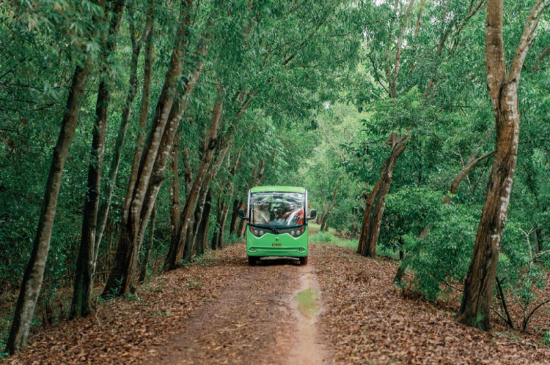 Tầm nhìn chiến lược từ cú hích đầu tư của Tập đoàn Sao Mai -0