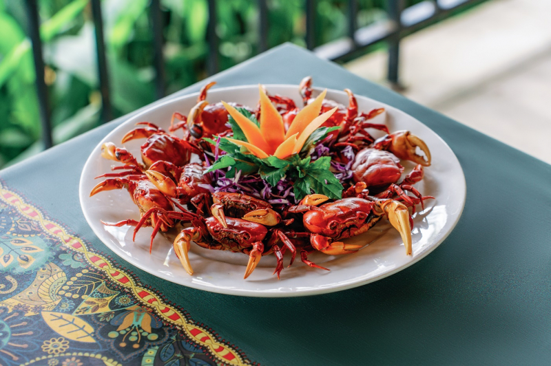 Tầm nhìn chiến lược từ cú hích đầu tư của Tập đoàn Sao Mai -0