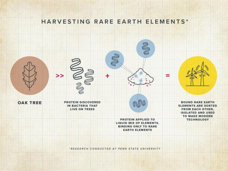 Dùng vi khuẩn “khai thác” đất hiếm từ nước thải -0