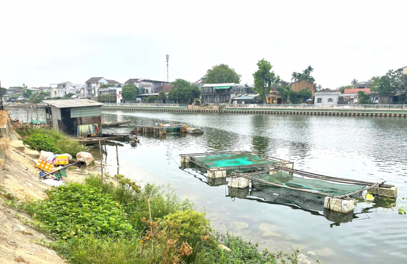 Chấn chỉnh tình trạng chiếm dụng mặt sông Như Ý nuôi cá lồng gây ô nhiễm môi trường  -0