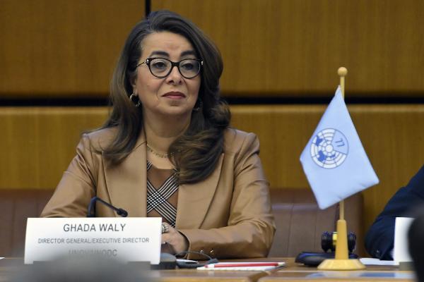 Afganistan trên hành trình loại bỏ cây thuốc phiện -0