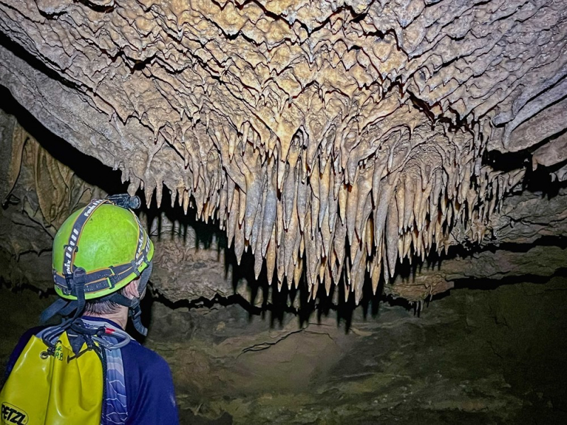 Phát hiện 26 hang động mới ở Vườn quốc gia Phong Nha-Kẻ Bàng -0