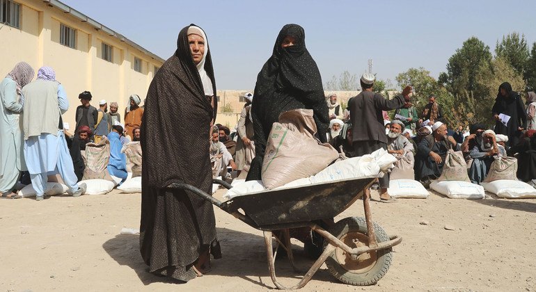 Afganistan trên hành trình loại bỏ cây thuốc phiện -0