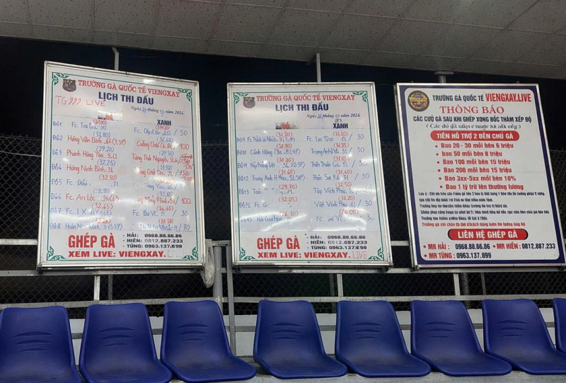 Triệt phá chuyên án “Trường gà quốc tế Viêng Xay”, khởi tố 196 bị can -0