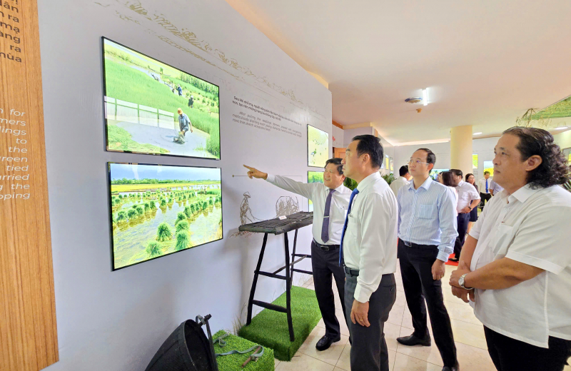 Thành lập Bảo tàng lúa nước tỉnh Cà Mau -0