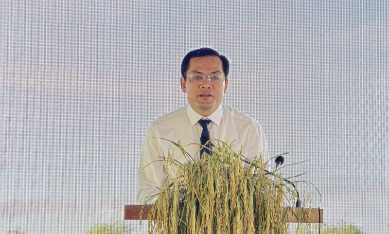 Thành lập Bảo tàng lúa nước tỉnh Cà Mau -0