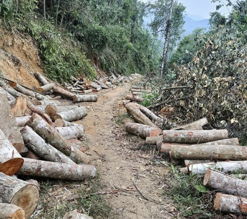 Lạng Sơn: Quyết liệt đấu tranh với 