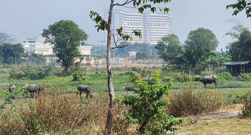 Sắp hết tháng 4/2026 vẫn chưa tri trả hết tiền bồi thường, thu hồi đất của năm trước  -0